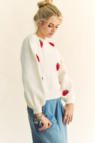 Davi & Dani Crochet Strawberry Round Neck Sweater Trendsi