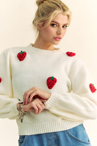 Davi & Dani Crochet Strawberry Round Neck Sweater Trendsi